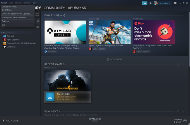 Steam Settings