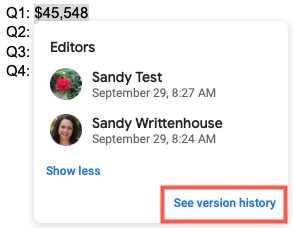 How to See Who Edited Specific Text in Google Docs