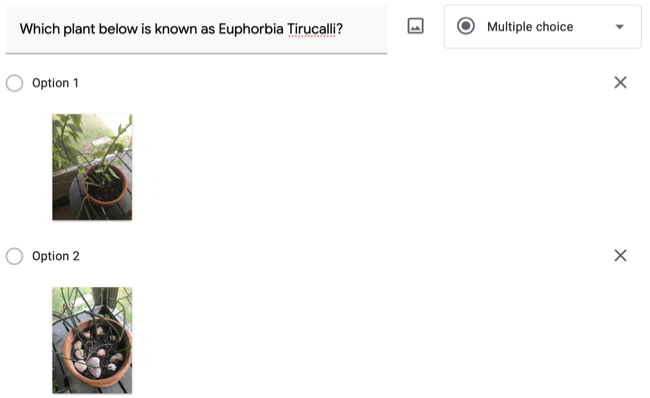 How to Add Images to Questions in Google Forms