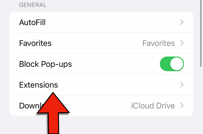 How to Install and Use Safari Extensions on iPhone and iPad