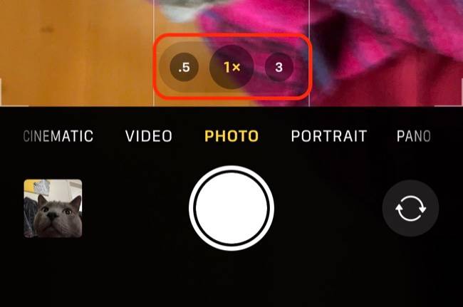 How to Shoot Macro Photography on Your iPhone