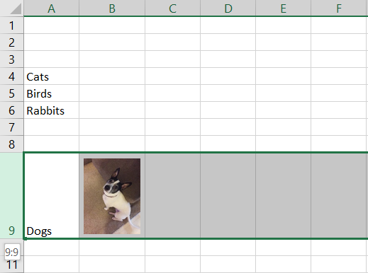 Loading Excel Picture How to Insert a Picture in Microsoft Excel