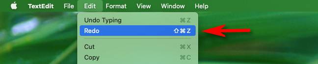 To Redo on a Mac, select Edit > Redo in the menu bar.