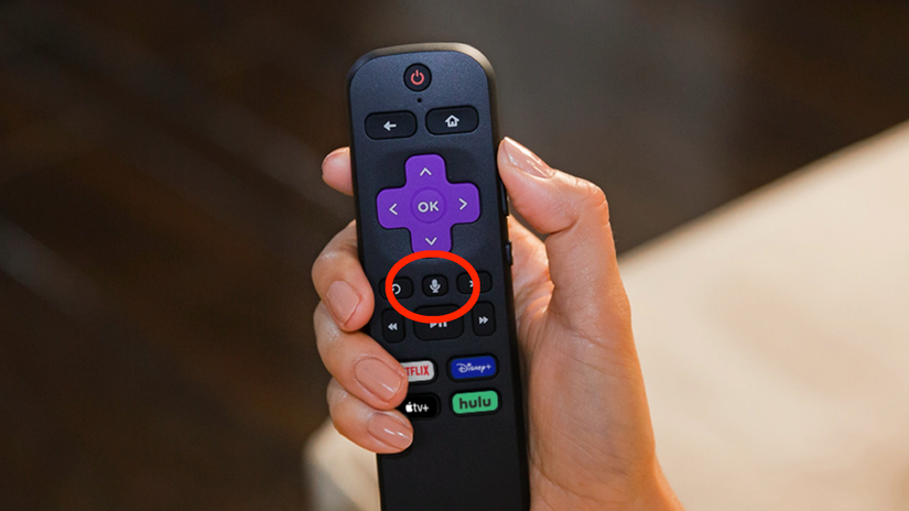 How to Control Roku with Your Voice