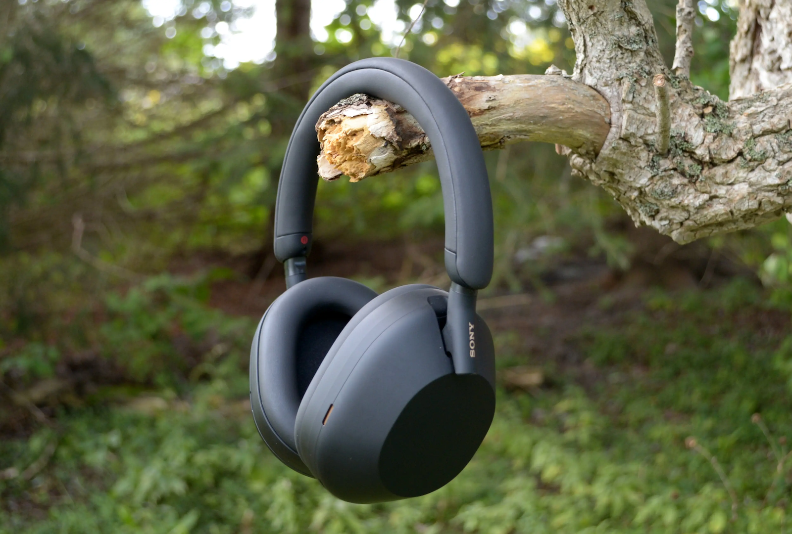 sony-wh-1000xm5-hanging-in-