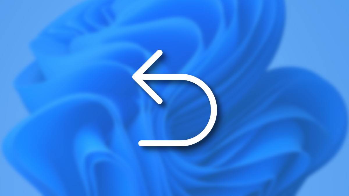What Does the Ctrl+Z Keyboard Shortcut Do?