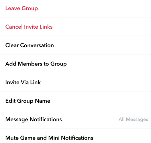 Snapchat more group management options.