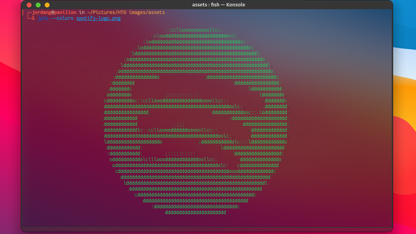 Spotify logo generated in ASCII characters in a Linux terminal.