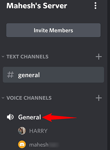Access the voice channel.