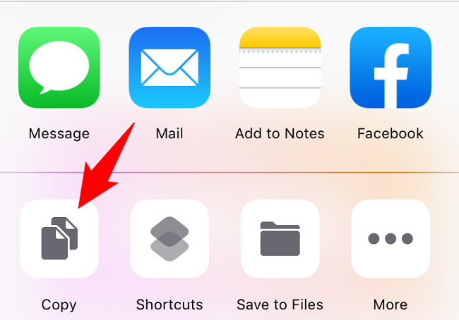 How to Copy and Paste on iPhone