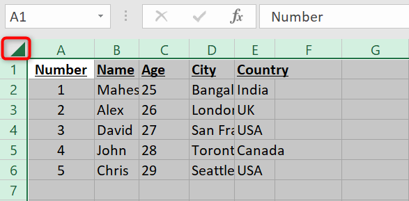 How to AutoFit in Microsoft Excel