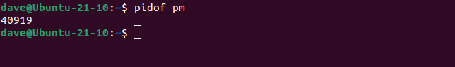 How to Use the pmap Command on Linux