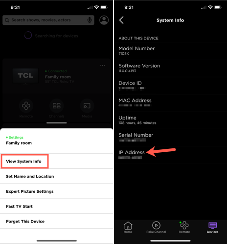 IP address for a Roku device in the mobile app