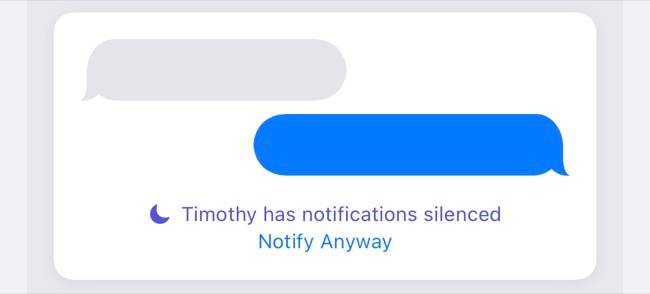 Example of notification sent when Focus mode is engaged.