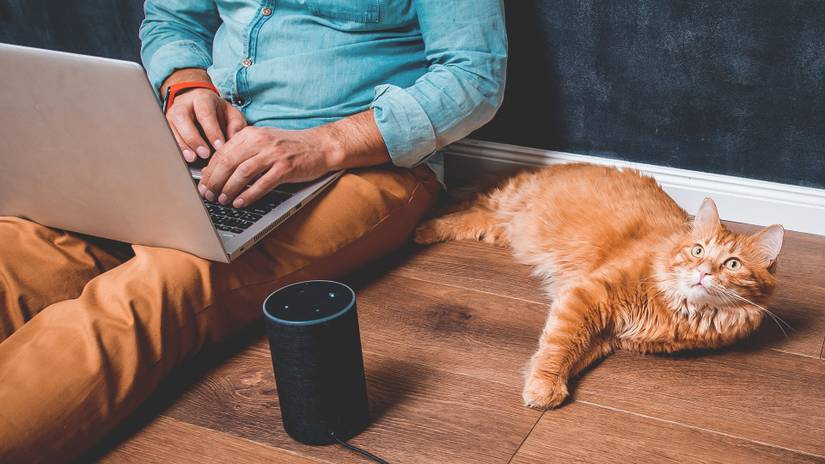 21 Things You Didn't Know Alexa Could Do