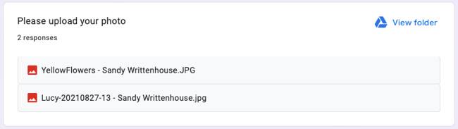 How to Let Users Upload Files and Photos in Google Forms