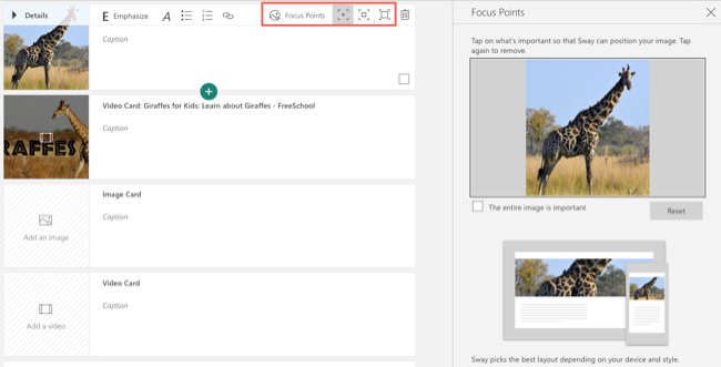 How to Use Microsoft Sway