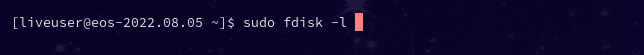Using the sudo fdisk -l command to list partitions and devices