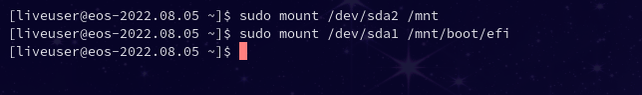 Mounting the boot and file system root file systems