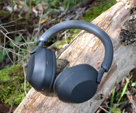 Sony WH-1000XM5 on tree