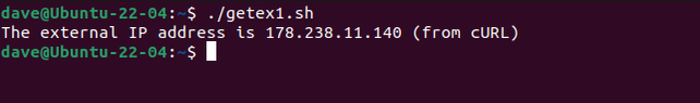 How to Get Your Public IP in a Linux Bash Script