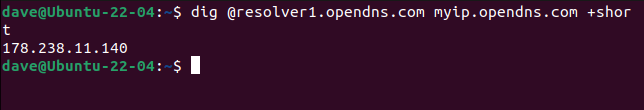 How to Get Your Public IP in a Linux Bash Script