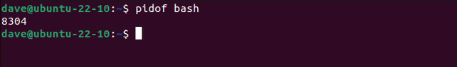 Pidi Shell How to Find the PID of a Linux Process With pidof or pgrep