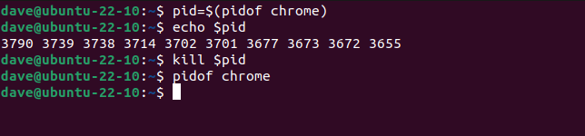 How to Find the PID of a Linux Process With pidof or pgrep