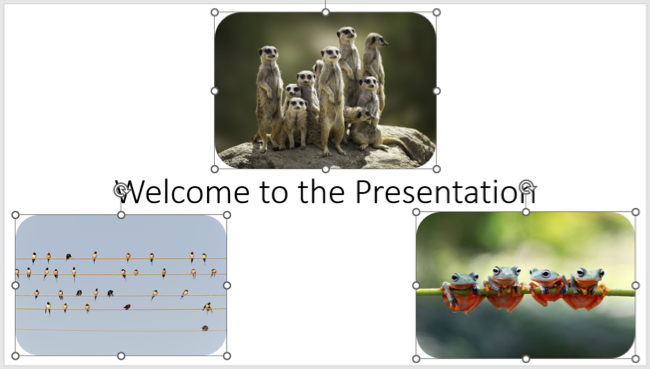 7 Things You Didn't Know You Could Do With PowerPoint Animations