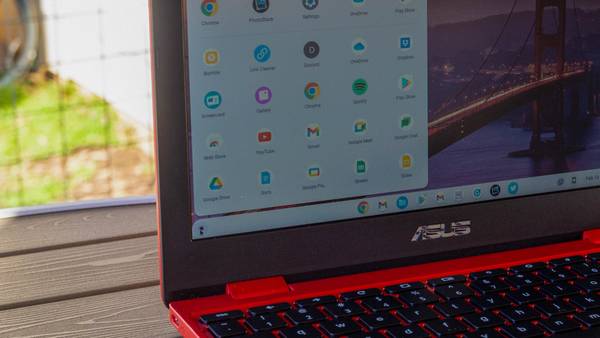 ASUS Chromebook 12 C223NA