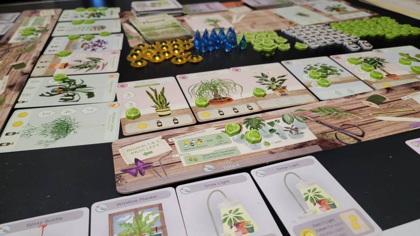 Planted' Board Game Review: Simple Fun, Especially For Plant Lovers