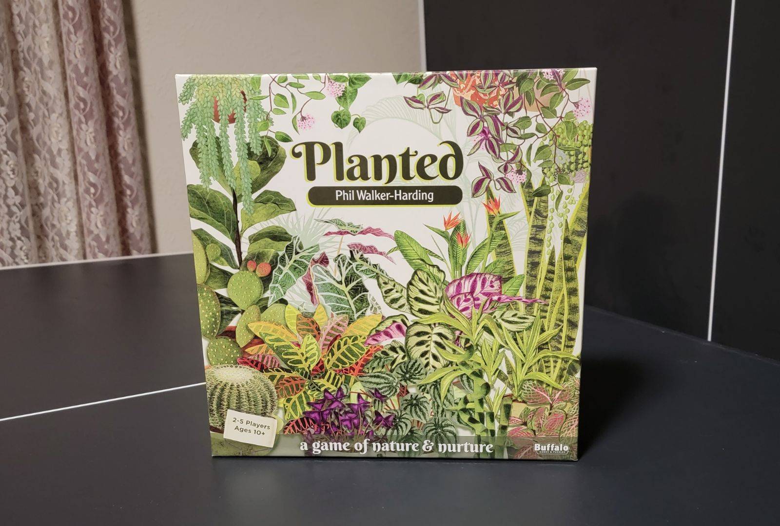 'Planted' Board Game Review: Simple Fun, Especially For Plant Lovers