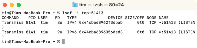 How to Kill a Process on Mac