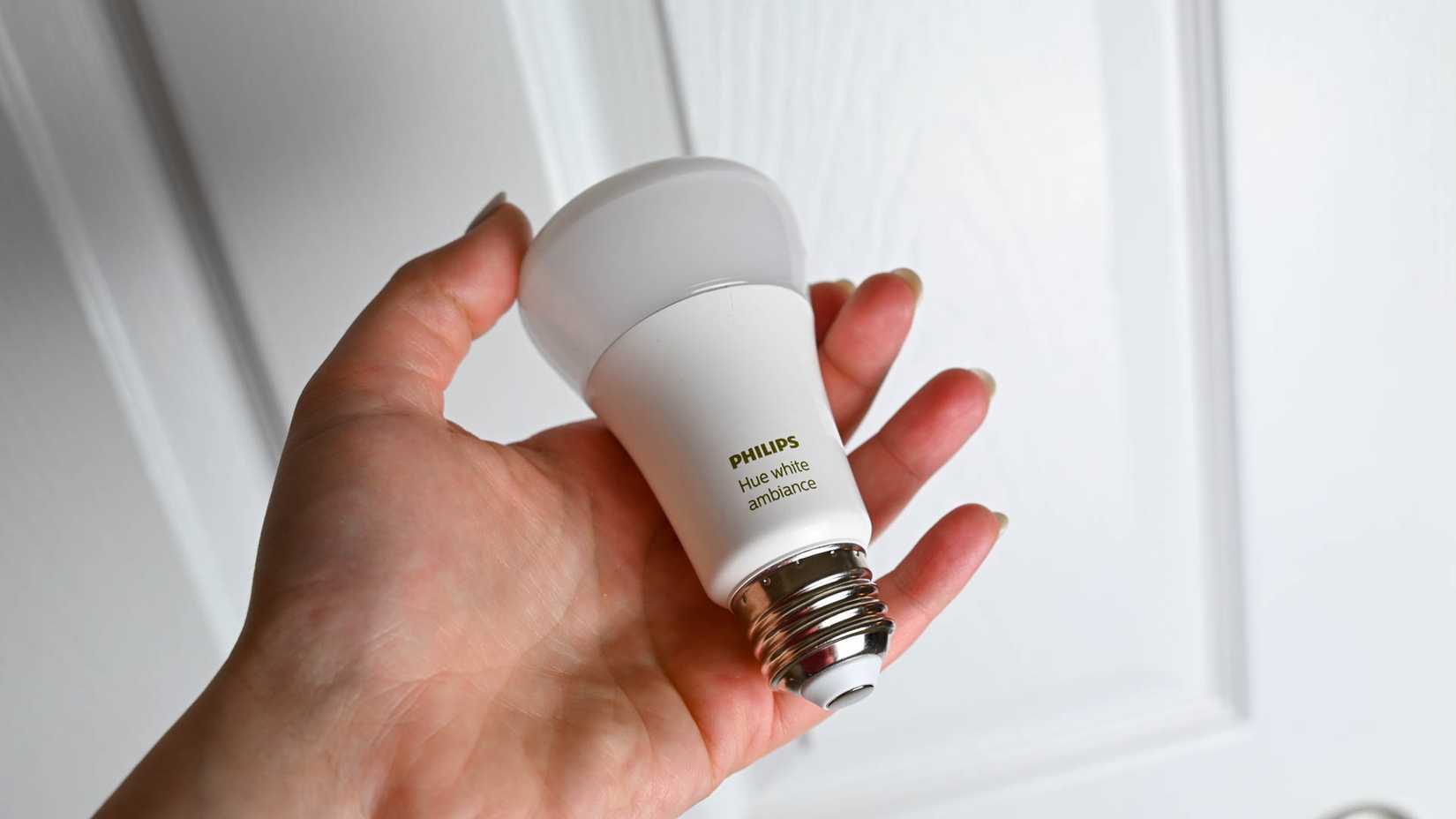A person holding a Philips Hue bulb.