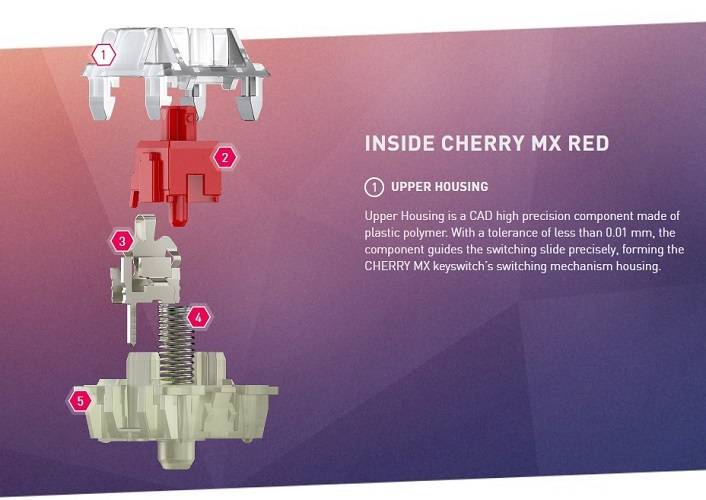 Mechanical Keyboard Switches Explained: Types, Colors, & More
