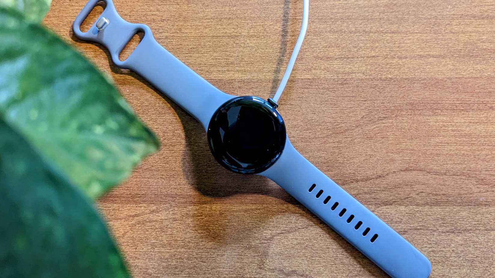 Google Pixel Watch carregando próximo a uma planta