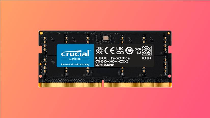 Ram Memory Pink The Best DDR5 RAM of 2024
