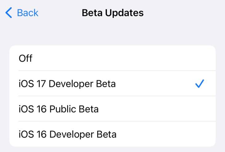 You Can Now Download Apple Developer Previews for Free (But You Shouldn't)