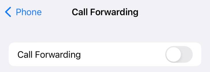 Call Filetering Apple iPhone Not Ringing When Called? 12 Fixes to Try
