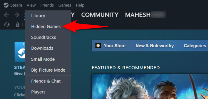 How to See Hidden Games on Steam