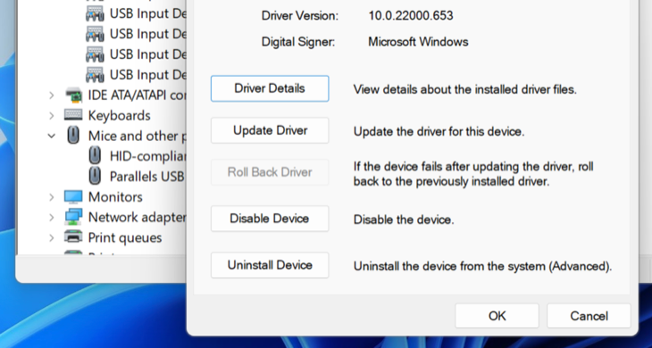 Two Finger Scroll Not Working? Fixes for Windows and Mac