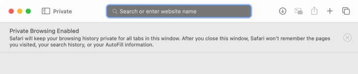 Private browsing mode in Safari.