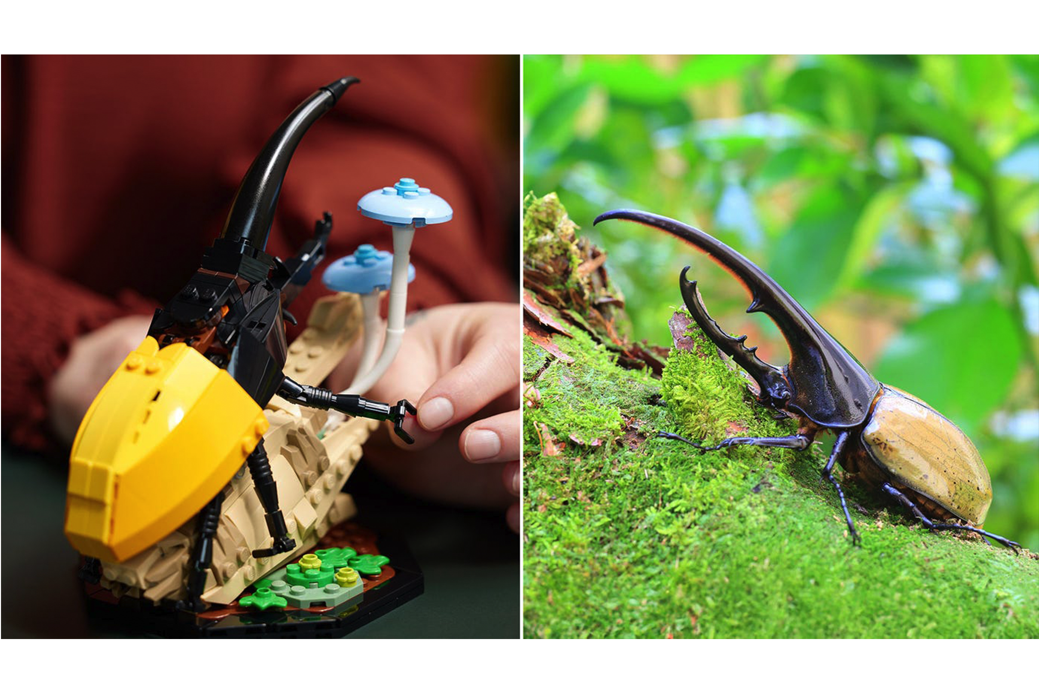 Bug Out with LEGO's New Insect Collection Set