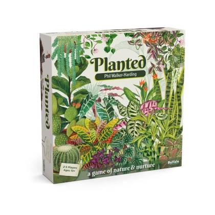 good luck bamboo plant Lucky Indoor Bamboo for Abundance and Prosperity - 8 Live Stalks - Ships Bare Root