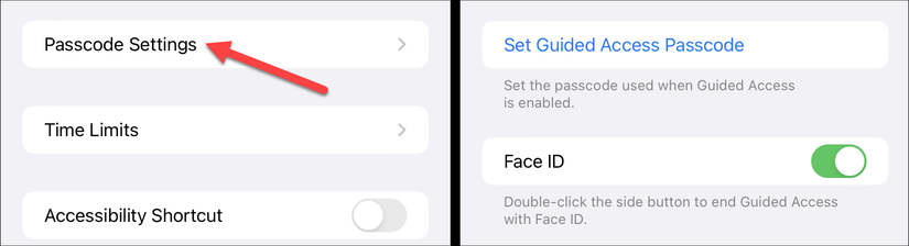 How to Lock an App to the Screen on iPhone and iPad