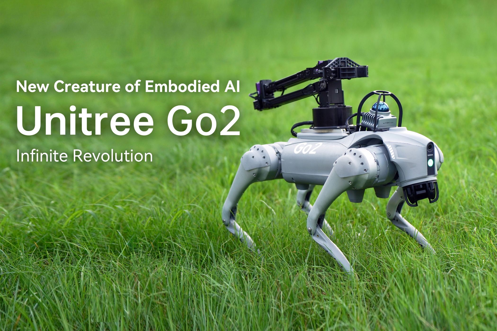 The Unitree Go2 With Arm Attachment in a Field