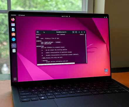 How to Display the Path of an Executable File in Linux