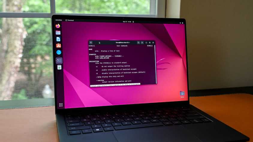 How to Display the Path of an Executable File in Linux
