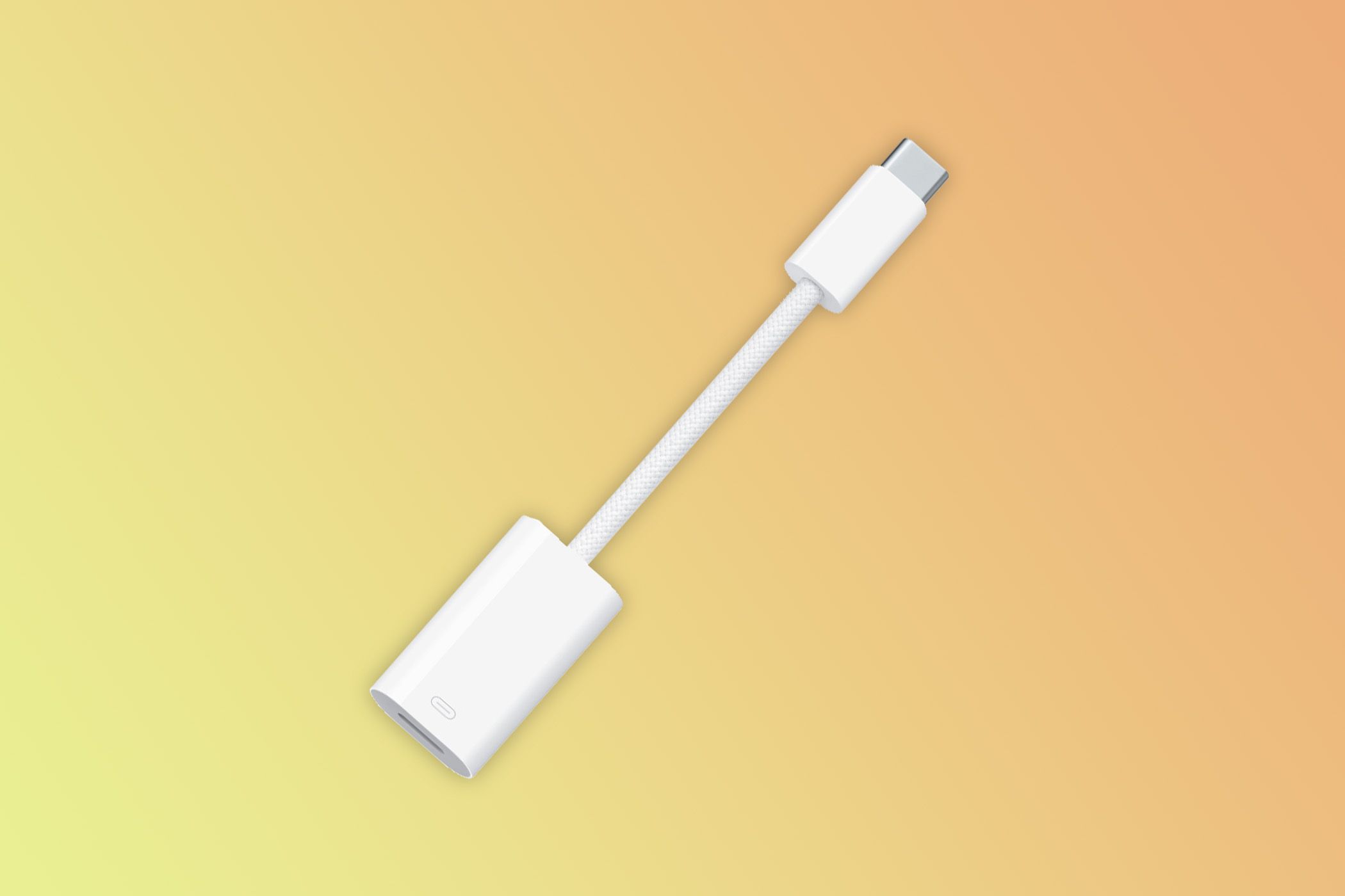 Apple USB-C to Lightning Adapter