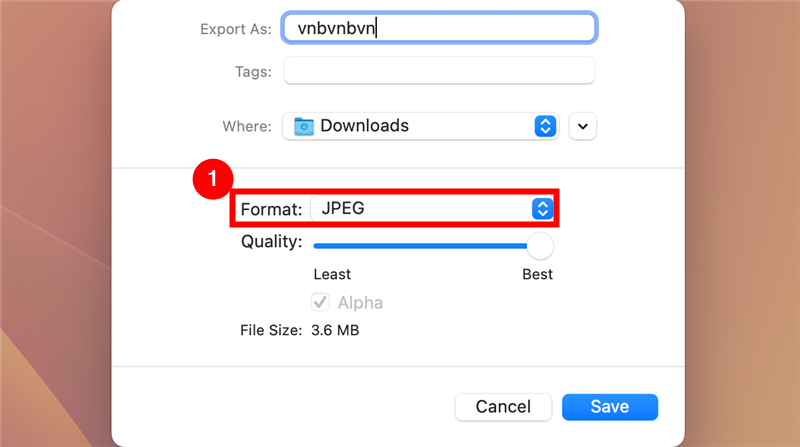 Normal Jpg How to Convert an Image to JPG Format